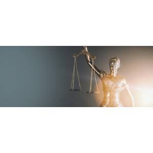 Rechtsanwältin Ursula Gaßner.jpg