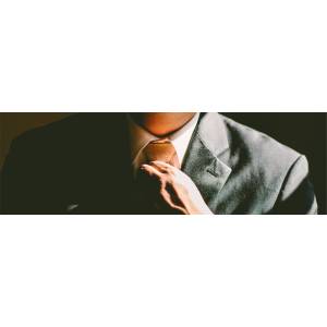 Rechtsanwälte Frank, Hiebl & Coll..jpg