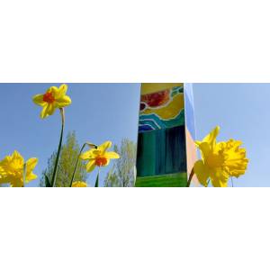 Joachim Knapp Rechtsanwalt.jpg