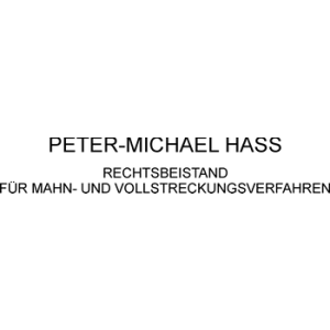 Rechtsbeistand Peter-Michael Hass.jpg