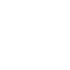 Malerbetrieb Bulang GmbH.jpg