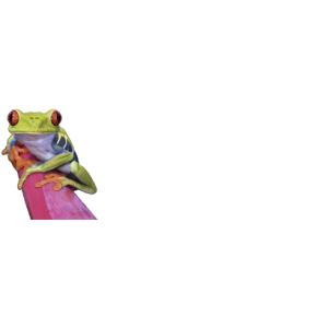 Malerfachbetrieb Fraske & Janke GmbH.jpg
