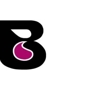 Maler Ernst Bauer GmbH.jpg