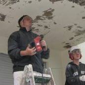 Malerteam Feghelm Inh. Günter Feghelm.jpg