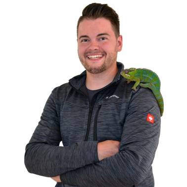 Philippe Zimmer Maler und Lackiererbetrieb.jpg