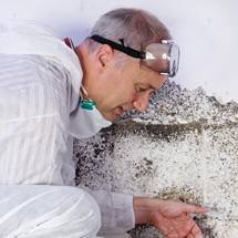 Mtm GmbH & Co. KG Malerarbeiten.jpg