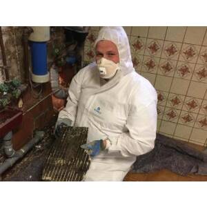 Terrecolor Kent Helmer.jpg