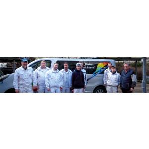 Maler & Werbestudio Thees.jpg