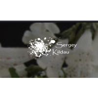 Sergey Kildau Malermeister.jpg