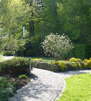 Wellering Garten- und Landschaftsbau GmbH.jpg