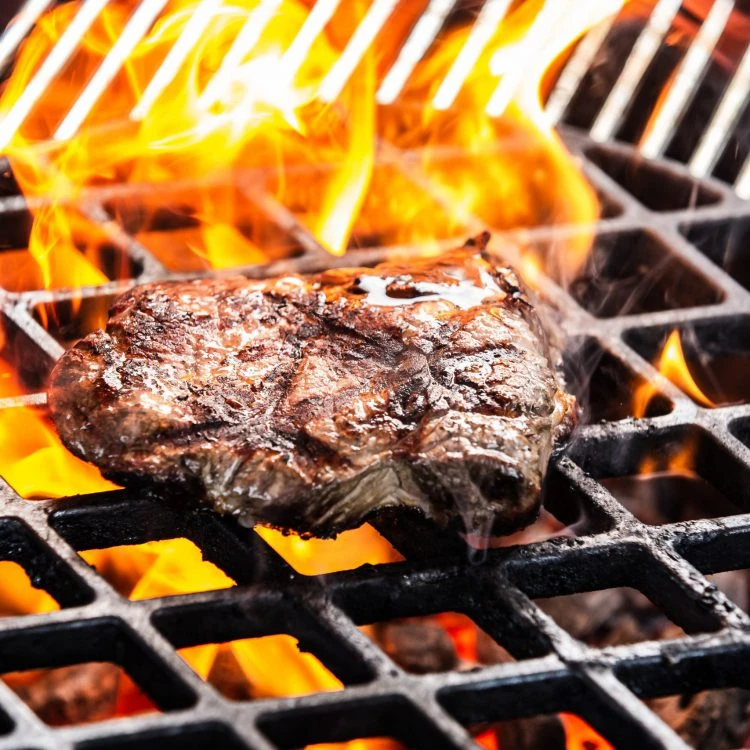 Grill & BBQ Bodensee.jpg