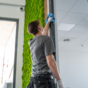 Gebäudeservice Frese.jpg