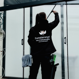 Fensterengel-Glasreinigung Nicole Bury.jpg
