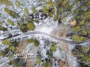 Silke Heyer Photographie.jpg