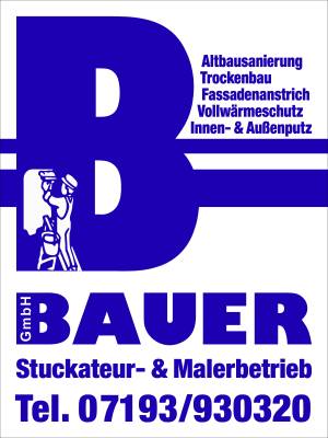 Peter Bauer GmbH Gipser- und Stukkateurbetrieb GmbH.jpg