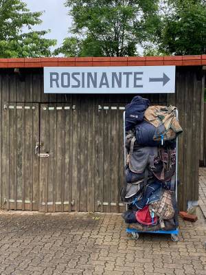 ROSINANTE Die Pferdedeckenwäscherei.jpg