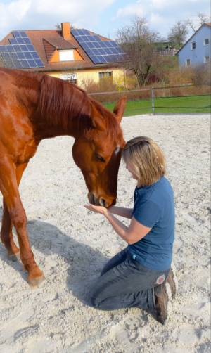 Reiter Coaching Birgit Heigel.jpg
